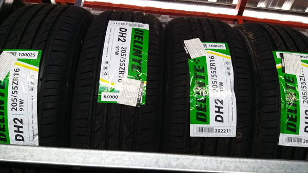 20555ZR16 91W XL DELINTE DH2
